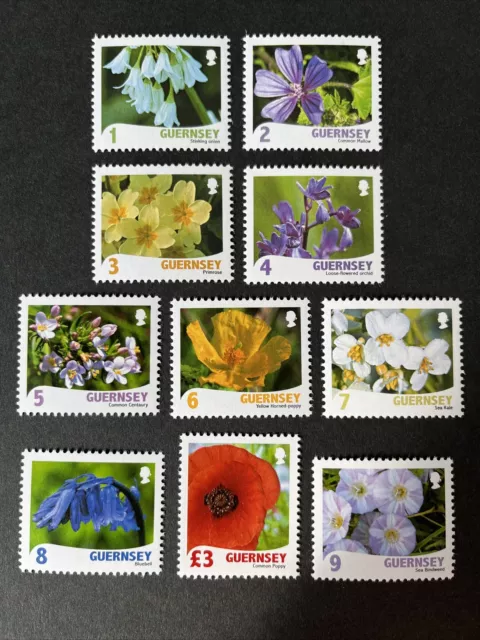 Guernsey 2009 Mnh Raymond Evison Wild Flora Flowers Set