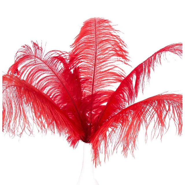 10 pcs Natural Ostrich Feathers Wedding Party Decoration Red 20-25cm V2G2h