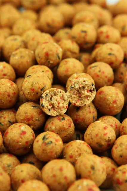 Northern Baits BNB Boilies Listo Hecho Pesca de Carpas Superior Linea Da