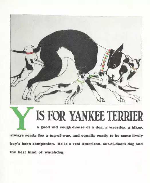 "Y" is for Yankee Terrier - CUSTOM MATTED - Vintage Dog Art Print - Clara Tice