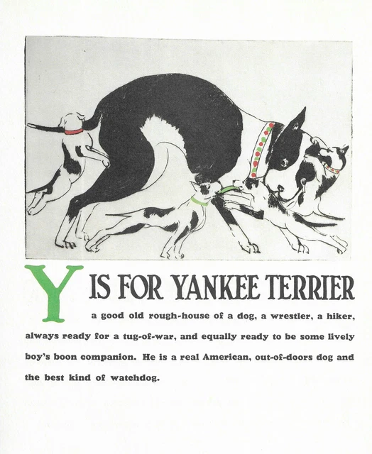 "Y" is for Yankee Terrier - CUSTOM MATTED - Vintage Dog Art Print - Clara Tice "Y" is for Yankee Terrier - CUSTOM MATTED - Vintage Dog Art Print - Clara Tice