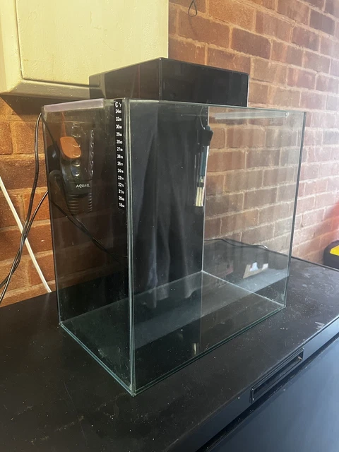 aqua one aquarium fish tank