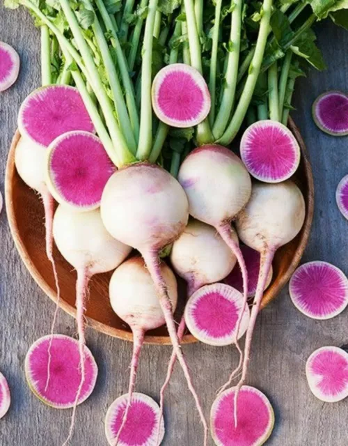 Radish Watermelon Red Meat RARE Variety 50 Seeds Vegetable Fruit Garden Plant UK