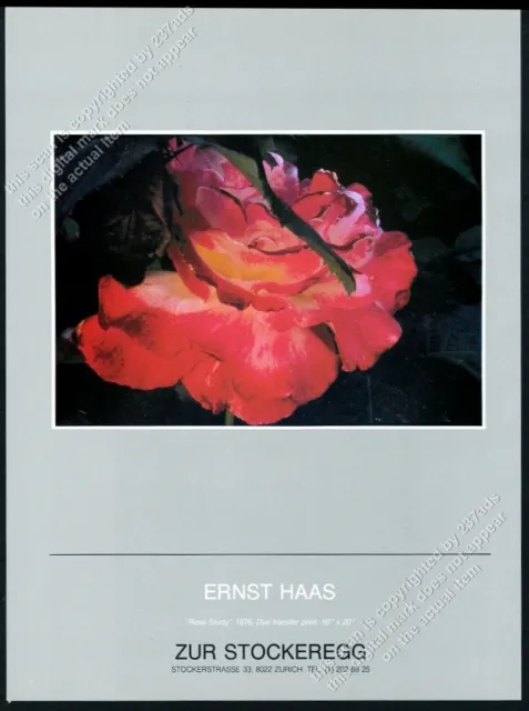 1984 Ernst Haas Rose Study 1976 art Zurich gallery vintage print ad