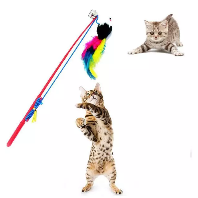 Chat plume souris bâton jouet chaton jouant tiges jouets pour animaux compagnie√