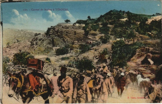 CPA AK MAROC TEROUAL Convoi de Mulets (10185)
