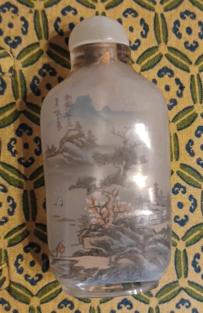 Snuff Bottle Bottiglia Da Fiuto Cinese Dipinta all'interno Vetro Con Scatola