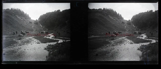 FRANCE Puy Mary Photo NEGATIVE Stereo Plaque PL28L4n1 Vintage c1910