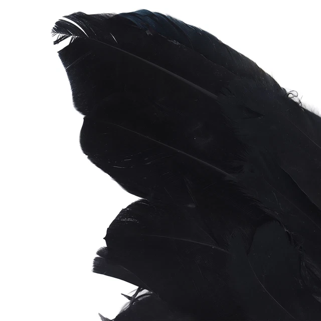 (Piccola Nera 45X35 Taglia) Piuma Portatile Ala Cosplay Bambini