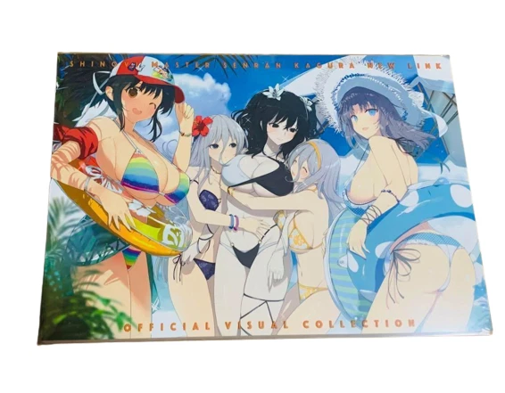Shinovi Master Senran Kagura TEN New Link Official Visual Collection Art Book