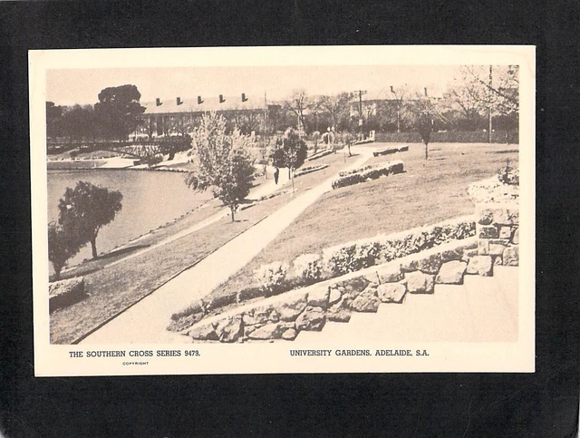 B5188 Australia SA Adelaide River Torrens Uni Gardens vintage postcard