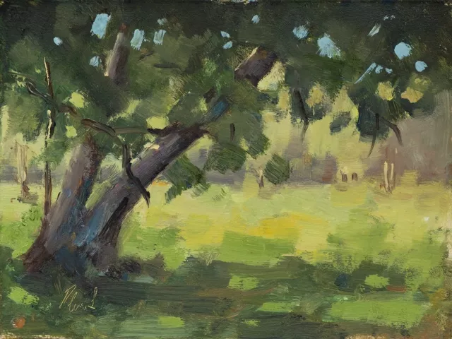 Original, plein air, impressionist, landscape, oil painting, art, Tree Study