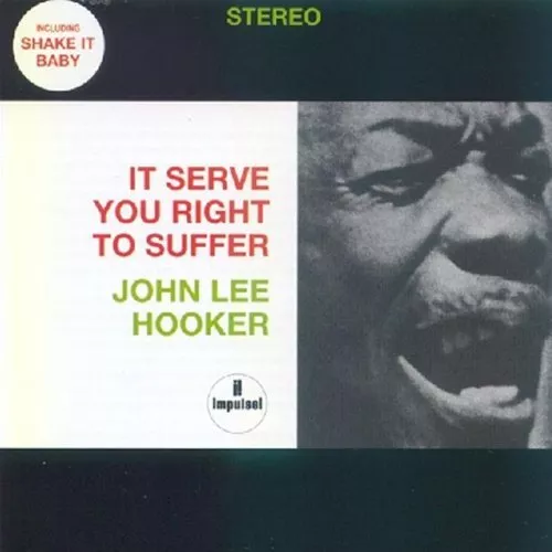 It Serve You Right to Suffer - John Lee Hooker CD 80VG The Cheap Fast Free Post