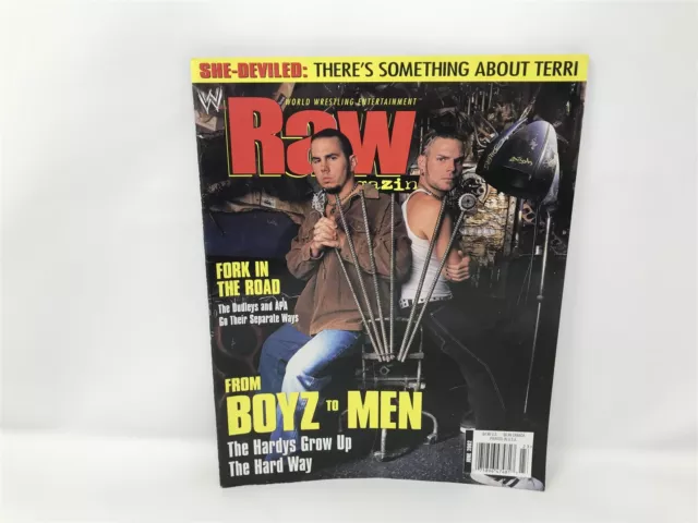 WWE Raw Magazine June 2002 Matt Jeff Hardy Randy Orton The Rock - Wit Poster