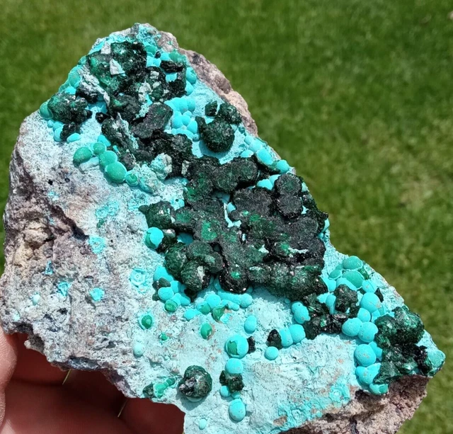 Chrysocolla Malachite botryoids on matrix, Gerhardite ? Congo 366g gem silica