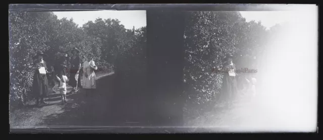Famille dans un Jardin NEGATIVE Photo Stereo Plaque de verre Vintage Abimée