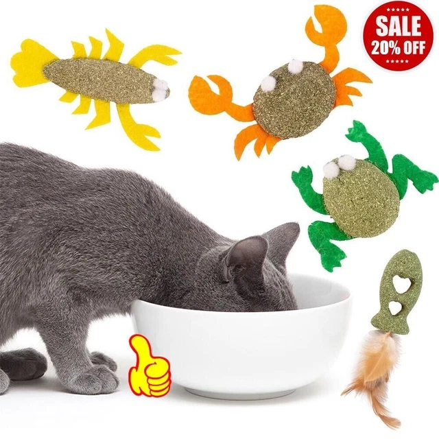 Catnip Stick Cats Mint Snack Pet Ball Interactive Toys Catnip For Cat 2023 U9W0