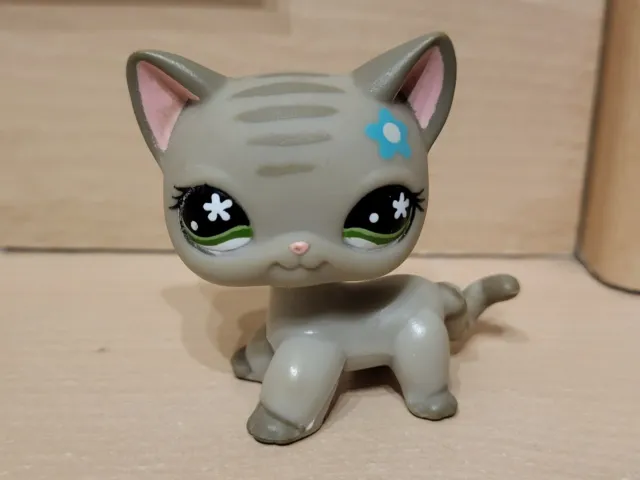 Lps #483 Littlest Petshop Original Authentic Chat Europeen European Cat Hasbro