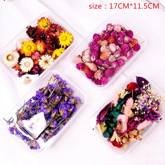 1 caja de plantas secas con flores secas reales para aromaterapia fabricación de velas accesorio JQ
