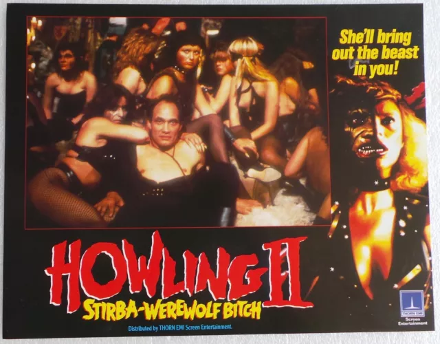 ORIGINAL 1985 LOBBY CARD 14 x 11 - 'HOWLING II - STIRBA -WEREWOLF BITCH' - #3