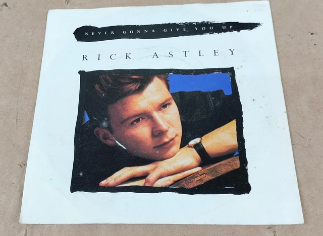Rick Astley Never Gonna Give You Up Vinyl Record Lp 7 Inch Eur 20 65