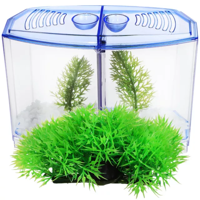 Desk Topper Live Aquarium Plants Freshwater Plastic Fish Tank