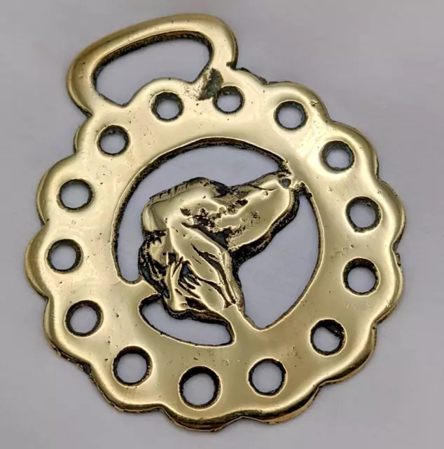 Brass Horse Medallion Vintage English Spaniel Setter Pup Dog Head Show Parade