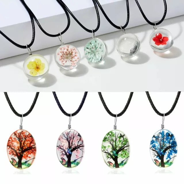 Nature Real Dried Cream Flowers Locket Pressed Round Pendant Necklace Jewelry 3