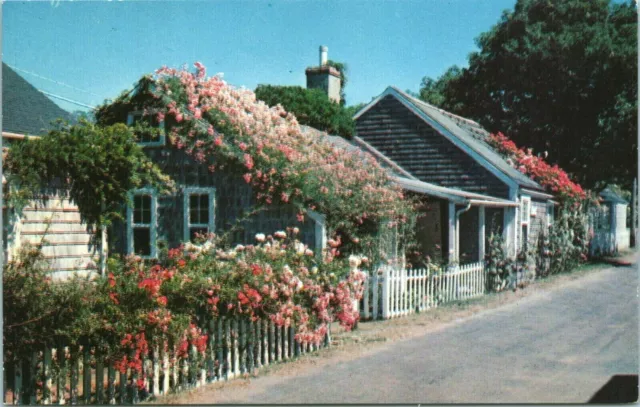 Postcard MA Road Covered Cottages Street View Picket Fence Nantucket Island Mass