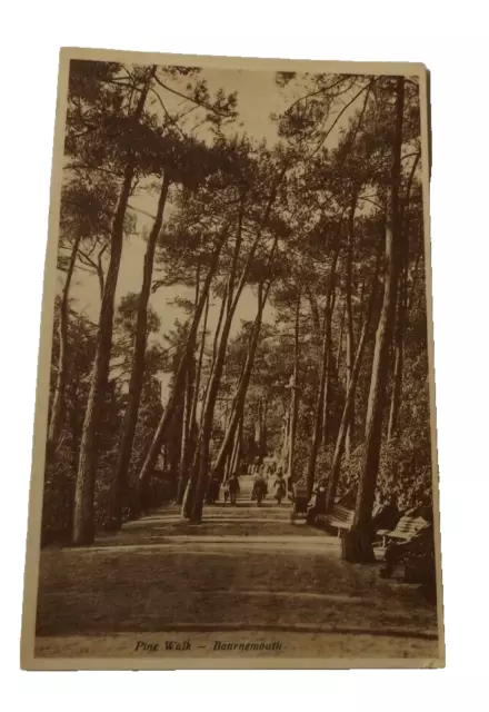 Bournemouth, 'Pine Walk', Vintage Postcard. Dorset