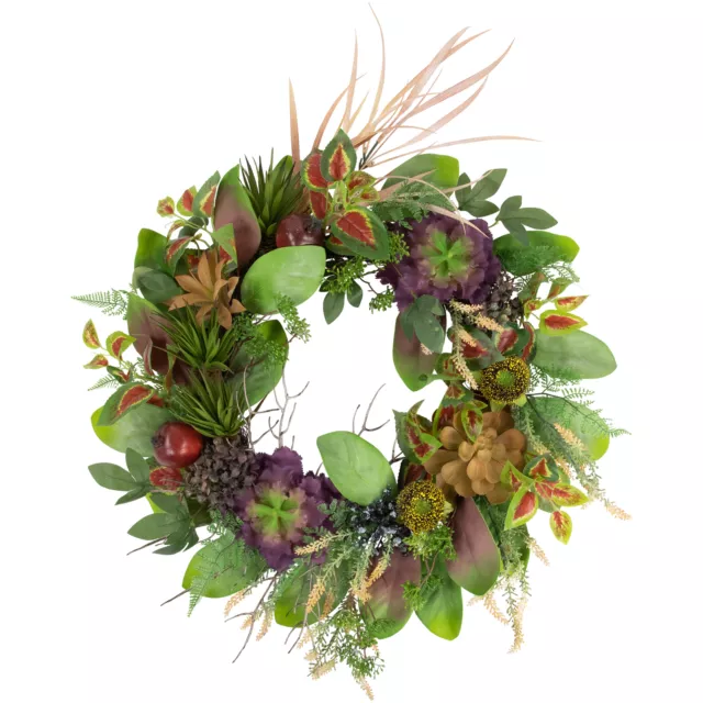 Northlight Mixed Succulent and Pomegranate Artificial Wreath, 24-Inch