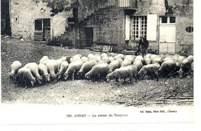 (S-31692) FRANCE - 58 - ASNAN CPA      SATIN  ed.