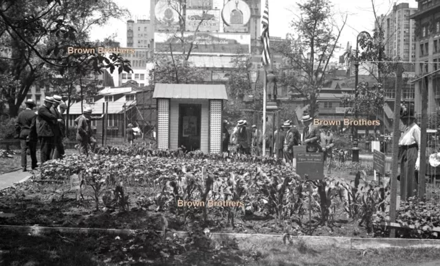 1918 Wartime Victory Garden in NYC Park Children Glass Camera Negatives #1 (2