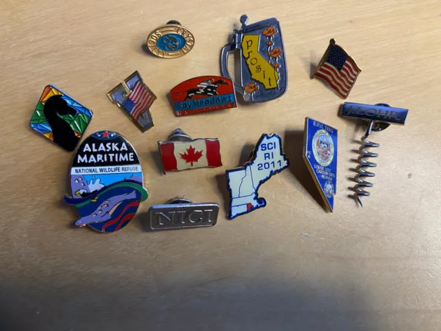 Lot of pins used on German hat