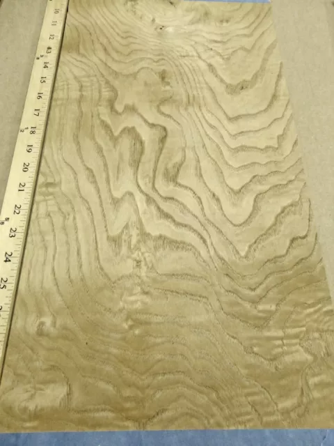 Chestnut Tamo Cluster Figured Burl wood veneer 11" x 22" raw 1/42" thickness