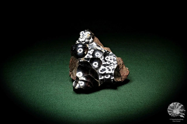 Hämatit Marokko Stufe Mineral Sammlung Kristall Deko deco