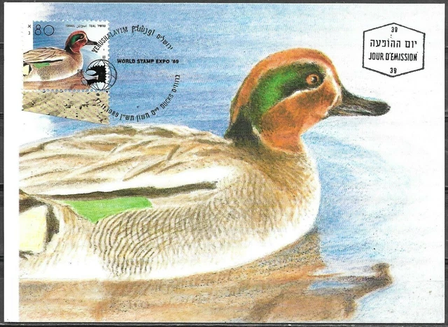Israel 1989 Maximum Card Teal Ducks Of Israel