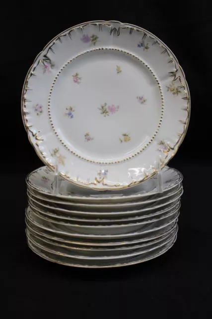 1920's Set of 11 CT Germany Carl Tielsch Porcelain 6 1/4" Bread/Dessert Plates
