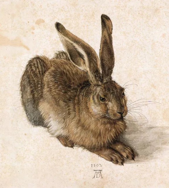 Oil Painting A Young Hare by Albrecht Dürer Giclee Fine