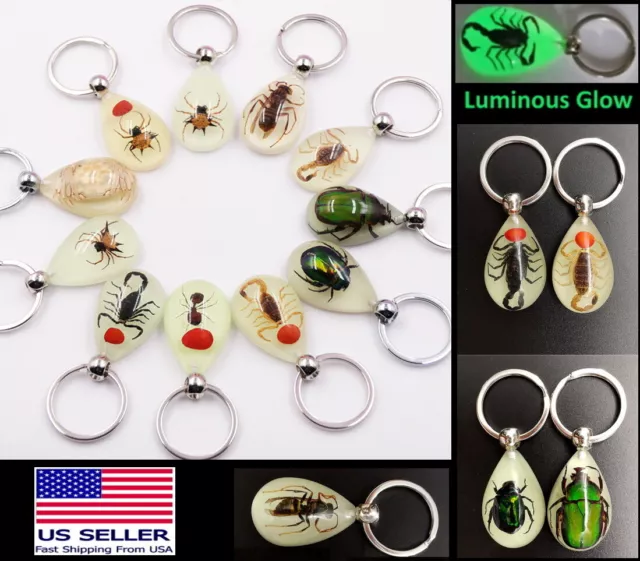 Luminous Real Insect Bug Beetle Glowing Keychain Glow in Dark Tear Drop Shape