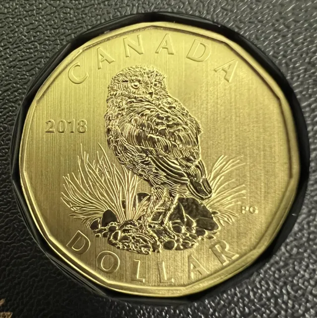 2018 Canada Specimen Loonie - Uncirculated $1 From Specimen Set - BURROWING OWL
