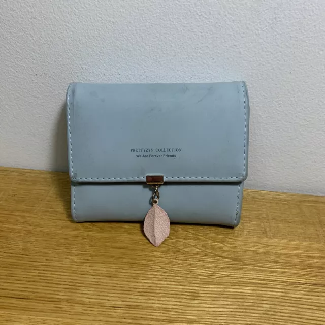 Prettyzys collection 2025 purse