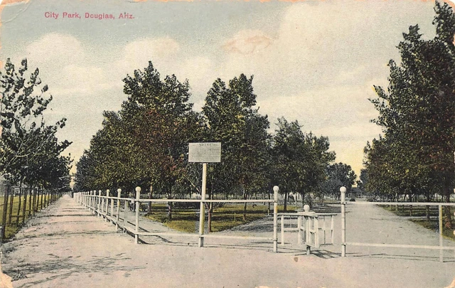 Arizona Photo Postcard: View City Park, Douglas, Az