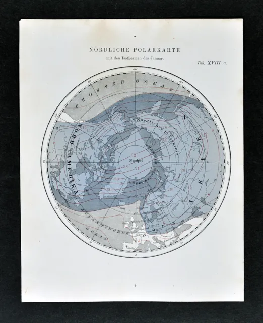 1872 Muller Astronomy Map North Pole Isotherms  Arctic Winter Climate Antique