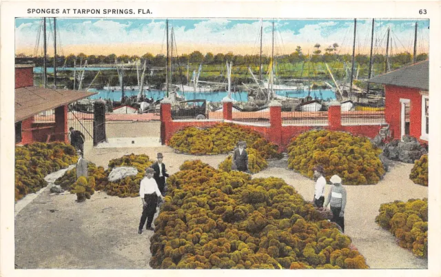 Tarpon Springs Florida 1920s Postcard Sponges