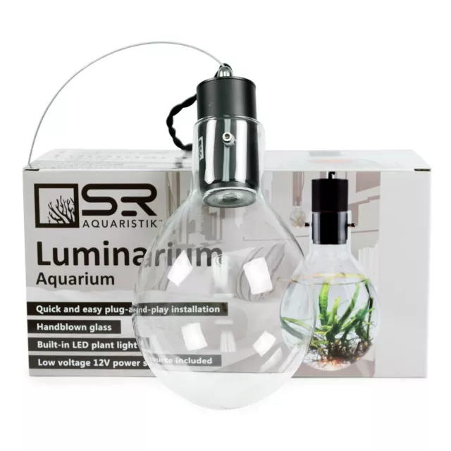 Nano Aquarium / Hanging Luminarium Aquarium/ Hanging Air Plant Terrarium By SRA