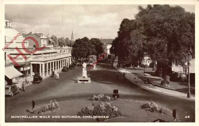 Picture Postcard__Cheltenham, Montpellier Walk and Rotunda