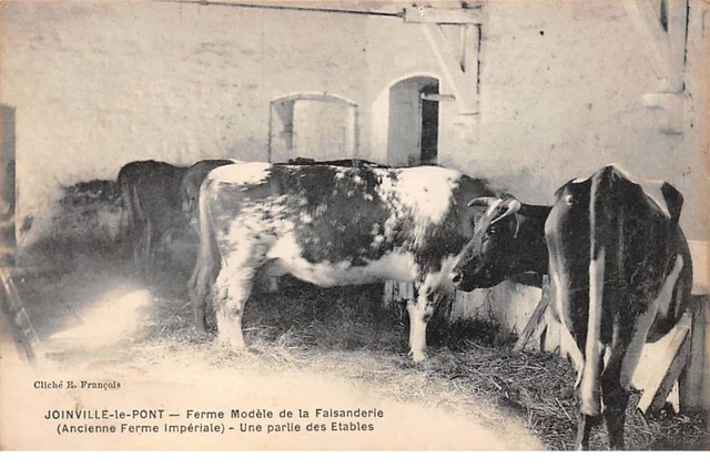 94 .n° 109303 .  joinville le pont . pas courante .ferme modele de la faisande