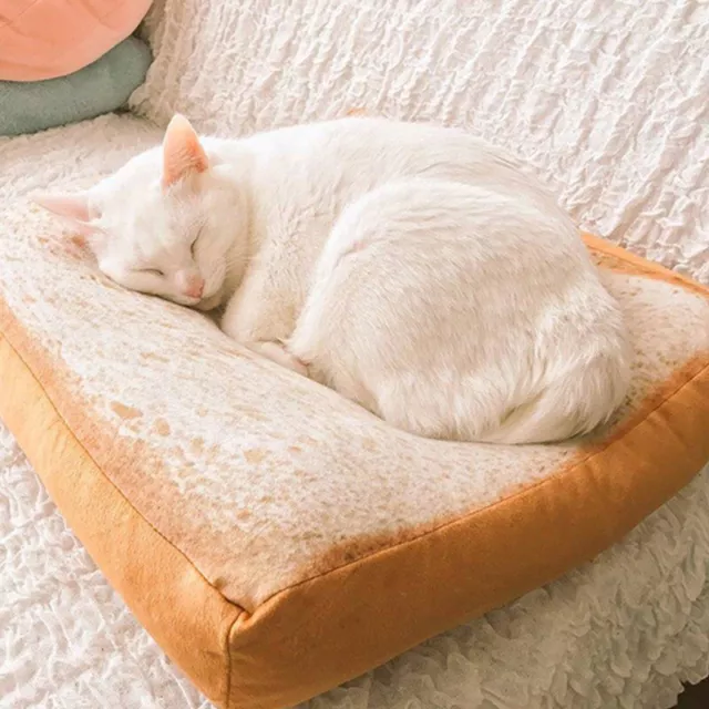 Pan cama para gato tostada rebanada de pan estilo mascota alfombras cojín suave .di