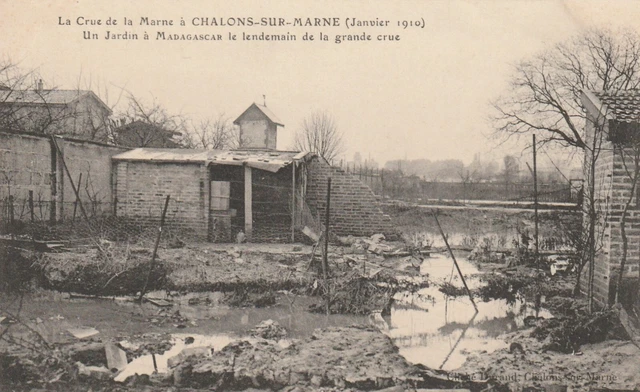 CPA 51 Crue de la Marne a CHALONS sur MARNE Un Jardin a Madagascar le lendemain